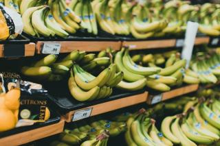 Améliorer sa digestion : conseils et aliments pour le transit