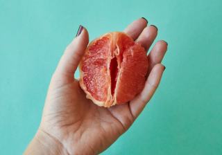 Vitamines et minéraux : guide des apports nutritionnels